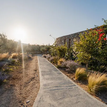 Oliving Mykonos Luxury ホテル