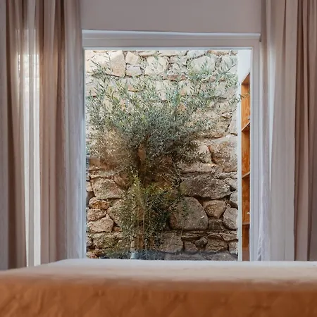 Oliving Mykonos Luxury 4* Κλουβάς